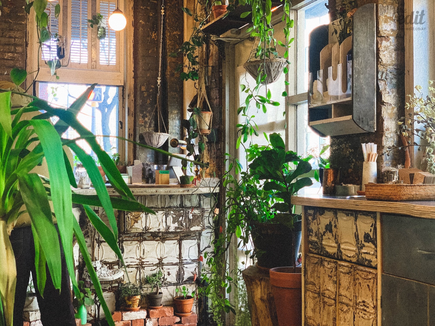 1400_retouched_newyork_cafe_-40
